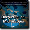 Día Virtual de Microscopía