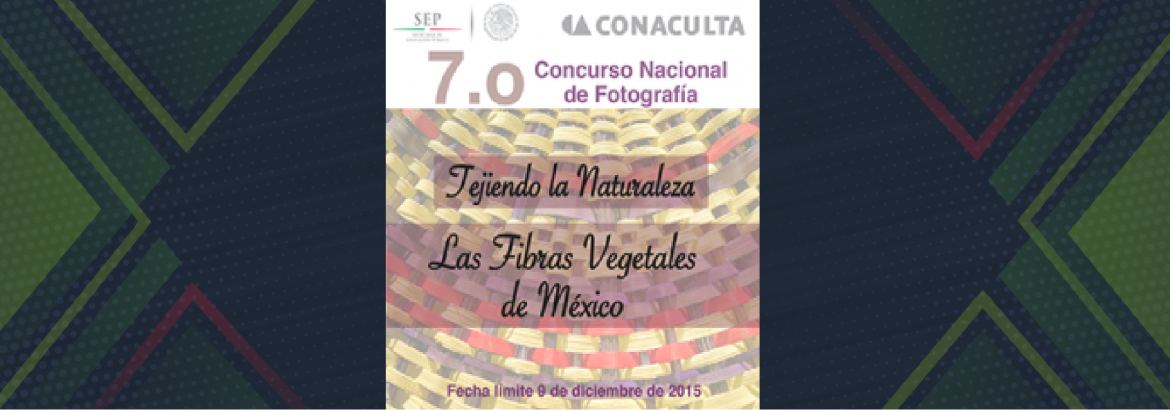 Alerta de fondos: Tejiendo la naturaleza. Las fibras vegetales de México