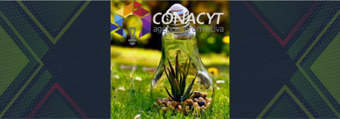 Conacyt y Semarnat lanzan convocatoria de investigación ambiental