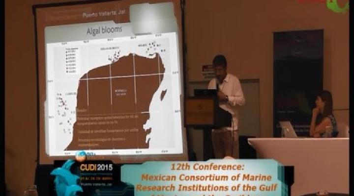 Preview image for the video "Reunión Primavera 2015 BigData BigNetworks Mexican Consortium of Marine Research Institutions".