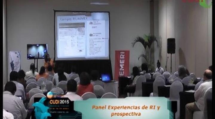 Preview image for the video "Reunión Primavera 2015 Panel Experiencias de RI y prospectiva".