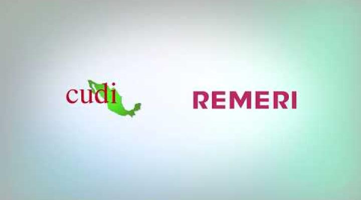 Preview image for the video "REMERI  Infografía animada".